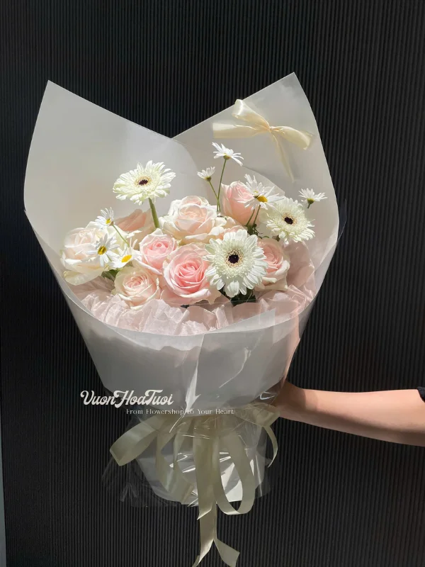Mây Trắng Bồng Bềnh